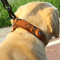 Leder-Hundehalsband